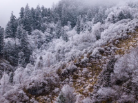 官鵝溝雪后美如畫
