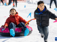 湖北秭歸：樂享冰雪
