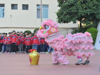 廣西梧州：醒獅舞校園
