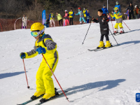 湖北秭歸：樂享冰雪
