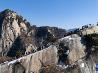 華山迎來新春旅游高峰
