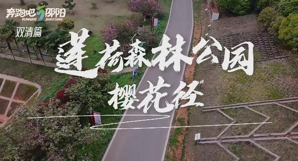 雙清區(qū)蓮荷森林公園櫻花季浪漫上線