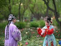 天津：在百年公園邂逅一出好戲
