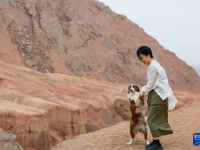 新疆吐峪溝：古村落迎游人
