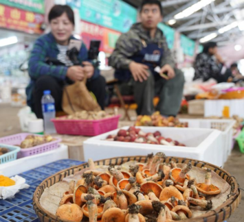 云南昆明：野生菌大量上市
