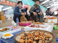 云南昆明：野生菌大量上市
