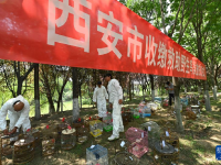 西安：放飛野生鳥類回歸自然
