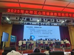 大祥区心理健康教育教师专业能力竞赛举行