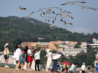 遼寧大連：海濱消暑
