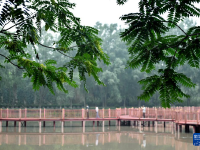 河北涉縣：建公園城市 享生態(tài)福祉
