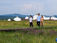 敕勒川草原引客來
