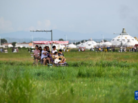 敕勒川草原引客來
