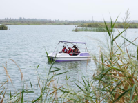 新疆：沙漠邊“長(zhǎng)出”濕地公園
